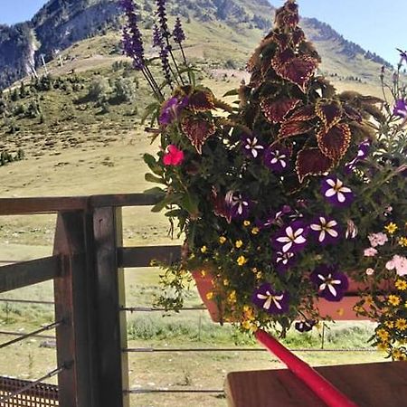 Studio Sur Les Pistes Bagnères-de-Bigorre Εξωτερικό φωτογραφία